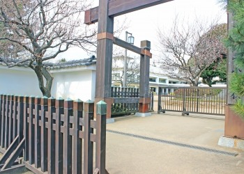 日本庭園,和,屋外,春,曇り