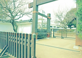 日本庭園,和,屋外,春,曇り,昭和レトロ