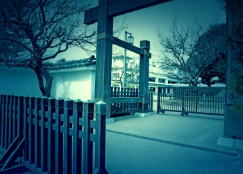 日本庭園,和,屋外,春,曇り,ホラー