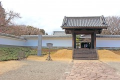 日本庭園,和,曇り,屋外,春