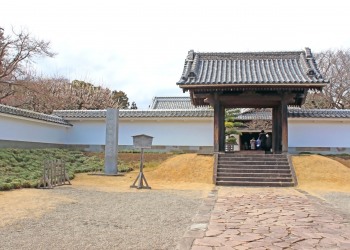 日本庭園,和,曇り,屋外,春
