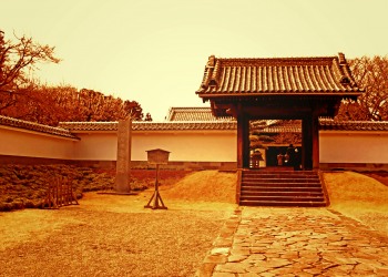 日本庭園,和,曇り,屋外,春,ヴィンテージ
