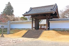 日本庭園,和,曇り,屋外,春