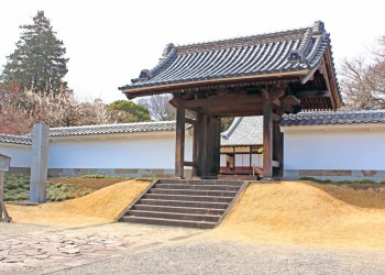 日本庭園,和,曇り,屋外,春
