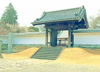 日本庭園,和,曇り,屋外,春,昭和レトロ