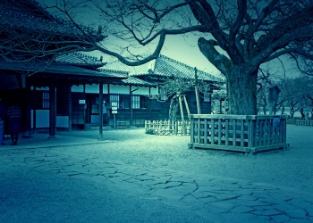 日本庭園,和,曇り,屋外,春,ホラー