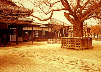 日本庭園,和,曇り,屋外,春,ヴィンテージ