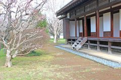 日本家屋,日本庭園,村,屋外,冬,曇り