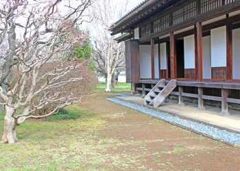 日本家屋,日本庭園,村,屋外,冬,曇り