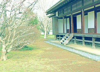 日本家屋,日本庭園,村,屋外,冬,曇り,昭和レトロ