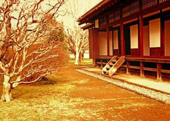 日本家屋,日本庭園,村,屋外,冬,曇り,ヴィンテージ