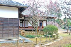 日本家屋,日本庭園,村,屋外,冬,曇り