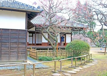 日本家屋,日本庭園,村,屋外,冬,曇り