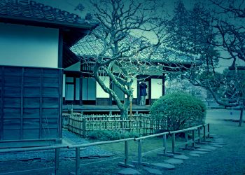 日本家屋,日本庭園,村,屋外,冬,曇り,ホラー