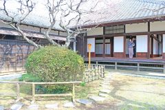 日本家屋,日本庭園,村,屋外,冬,曇り