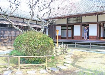 日本家屋,日本庭園,村,屋外,冬,曇り
