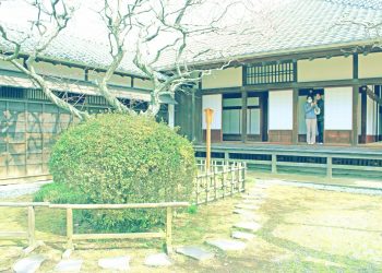 日本家屋,日本庭園,村,屋外,冬,曇り,昭和レトロ