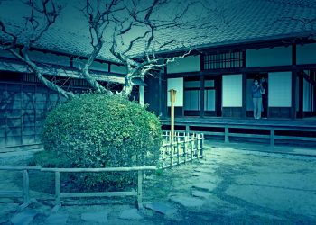 日本家屋,日本庭園,村,屋外,冬,曇り,ホラー
