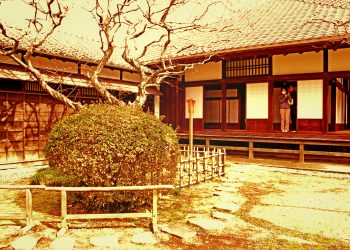 日本家屋,日本庭園,村,屋外,冬,曇り,ヴィンテージ