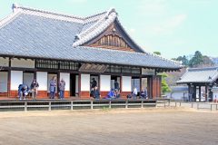 日本家屋,日本庭園,村,屋外,冬,曇り