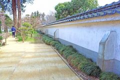 日本家屋,日本庭園,和風,屋外,春,晴れ