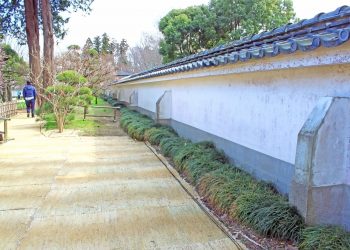 日本家屋,日本庭園,和風,屋外,春,晴れ