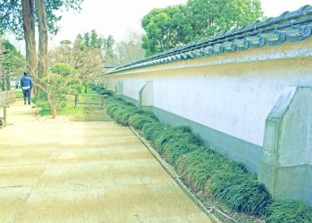 日本家屋,日本庭園,和風,屋外,春,晴れ,昭和レトロ