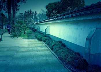 日本家屋,日本庭園,和風,屋外,春,晴れ,ホラー
