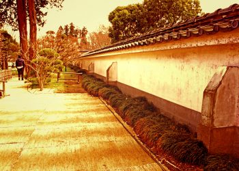 日本家屋,日本庭園,和風,屋外,春,晴れ,ヴィンテージ