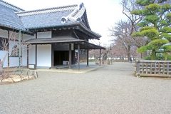 日本家屋,日本庭園,和風,屋外,春,晴れ
