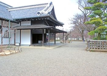 日本家屋,日本庭園,和風,屋外,春,晴れ