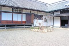 日本家屋,日本庭園,和風,屋外,春,晴れ