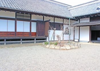 日本家屋,日本庭園,和風,屋外,春,晴れ