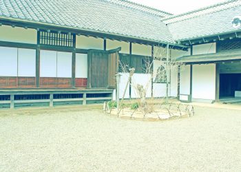 日本家屋,日本庭園,和風,屋外,春,晴れ,昭和レトロ
