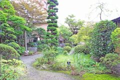 日本庭園,和風,屋外,春,晴れ