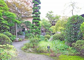 日本庭園,和風,屋外,春,晴れ