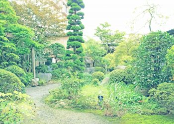 日本庭園,和風,屋外,春,晴れ,昭和レトロ