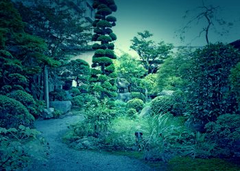 日本庭園,和風,屋外,春,晴れ,ホラー
