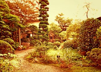 日本庭園,和風,屋外,春,晴れ,ヴィンテージ