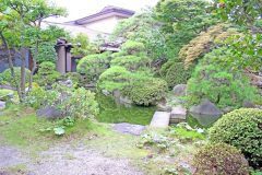 日本庭園,和,屋外,夏,曇り