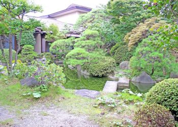 日本庭園,和,屋外,夏,曇り