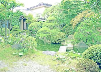日本庭園,和,屋外,夏,曇り,昭和レトロ