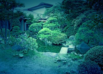 日本庭園,和,屋外,夏,曇り,ホラー