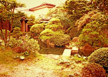 日本庭園,和,屋外,夏,曇り,ヴィンテージ