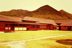 日本庭園,村,和,屋外,夏,晴れ