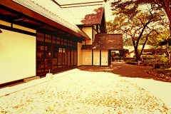 日本庭園,村,和,屋外,夏,晴れ
