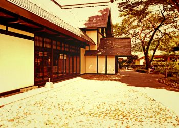 日本庭園,村,和,屋外,夏,晴れ,ヴィンテージ