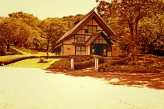 日本庭園,村,和,屋外,夏,晴れ
