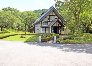 日本庭園,村,和,屋外,夏,晴れ