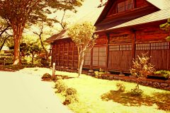 日本庭園,村,和,屋外,夏,晴れ